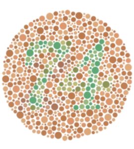 Na foto uma página do teste de Ishihara para daltonismo